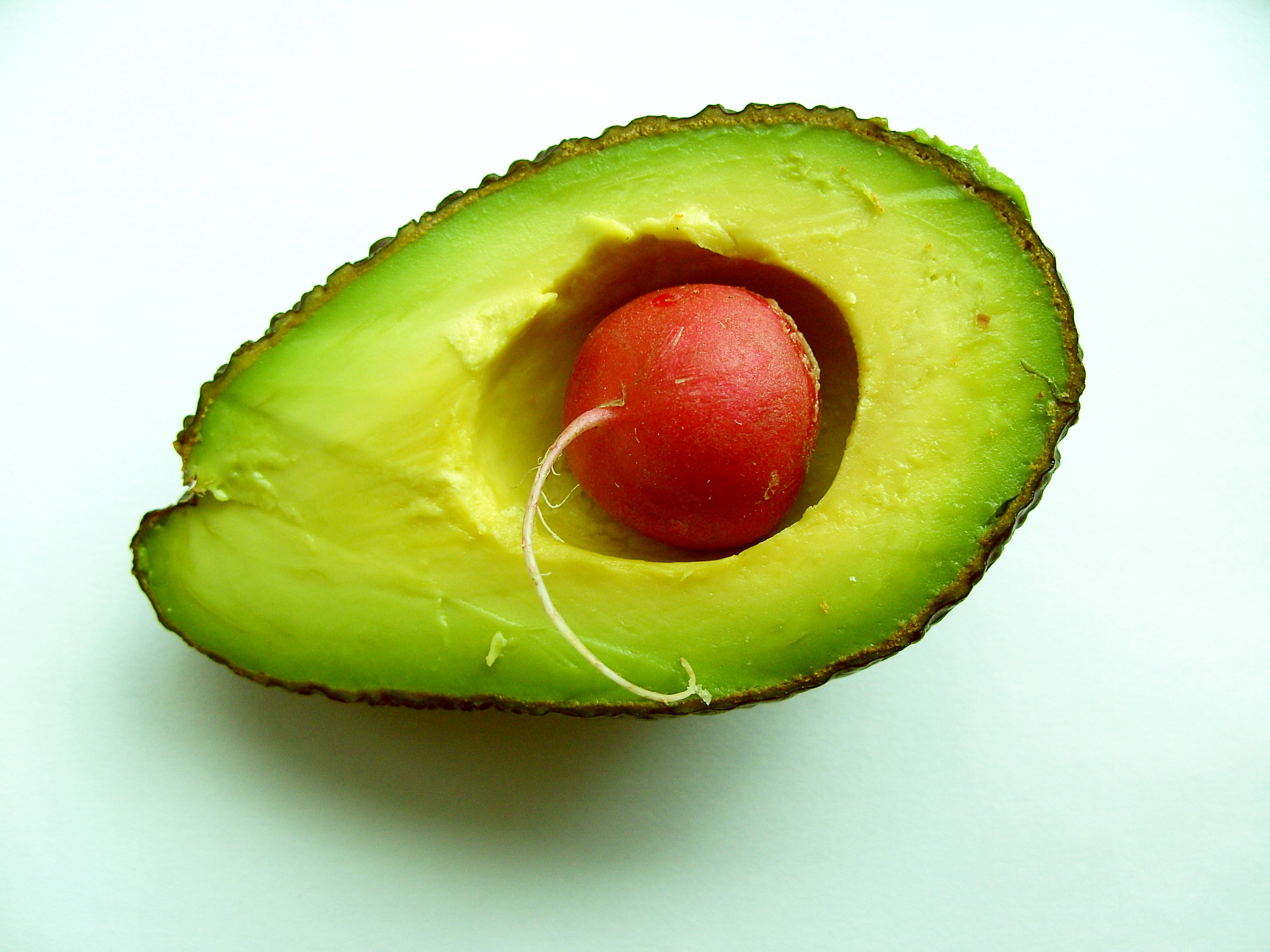 vegetable9